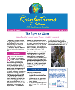 LCWR Resolutions to Action - Winter 2013